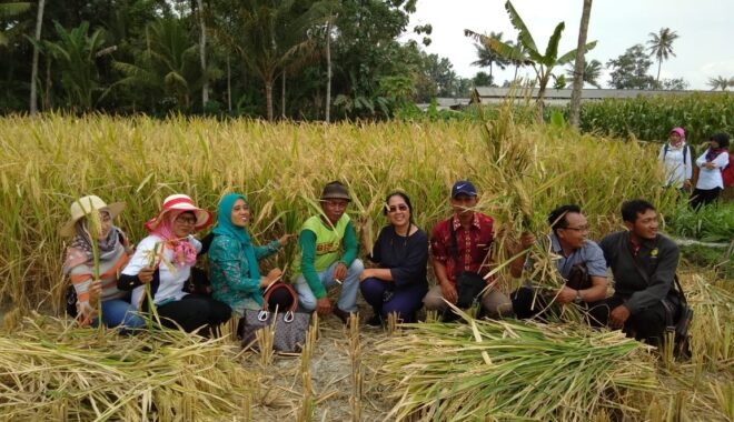 Masyarakat Demo Kejari Pamekasan, Tuntut Kejelasan Tiga Dugaan Kasus Korupsi