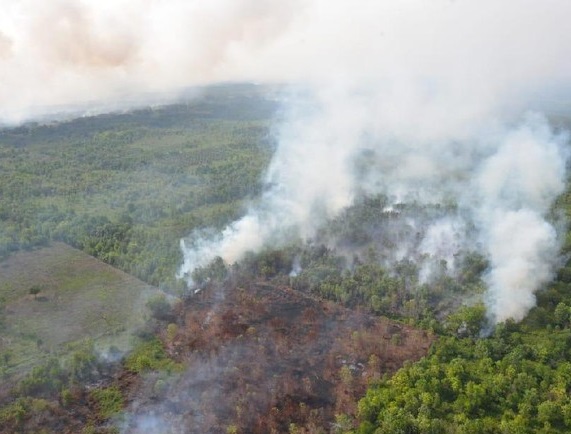 Empat Orang Tewas Akibat Kebakaran Hutan di Kalimantan Barat