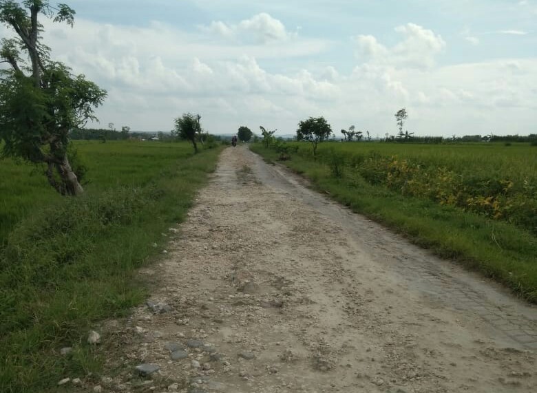 Dana Desa Tak Selesaikan Jalan Rusak