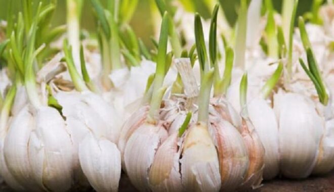 Perang AS-Iran Mengubah Arus Lanskap Dunia, Posisi Indonesia Di Bawah Kepemimpinan Prabowo-Gibran?