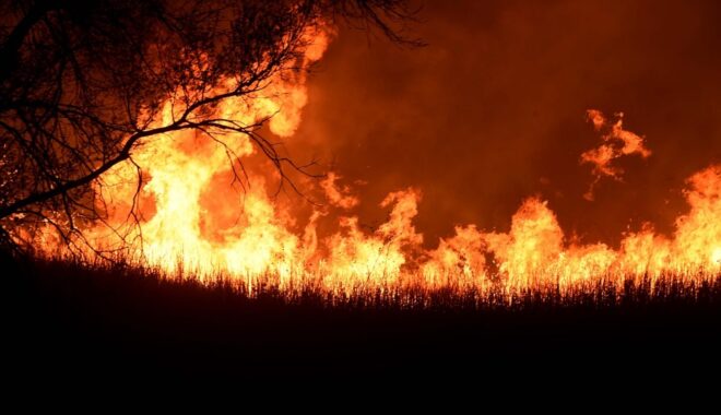 Perang AS-Iran Mengubah Arus Lanskap Dunia, Posisi Indonesia Di Bawah Kepemimpinan Prabowo-Gibran?