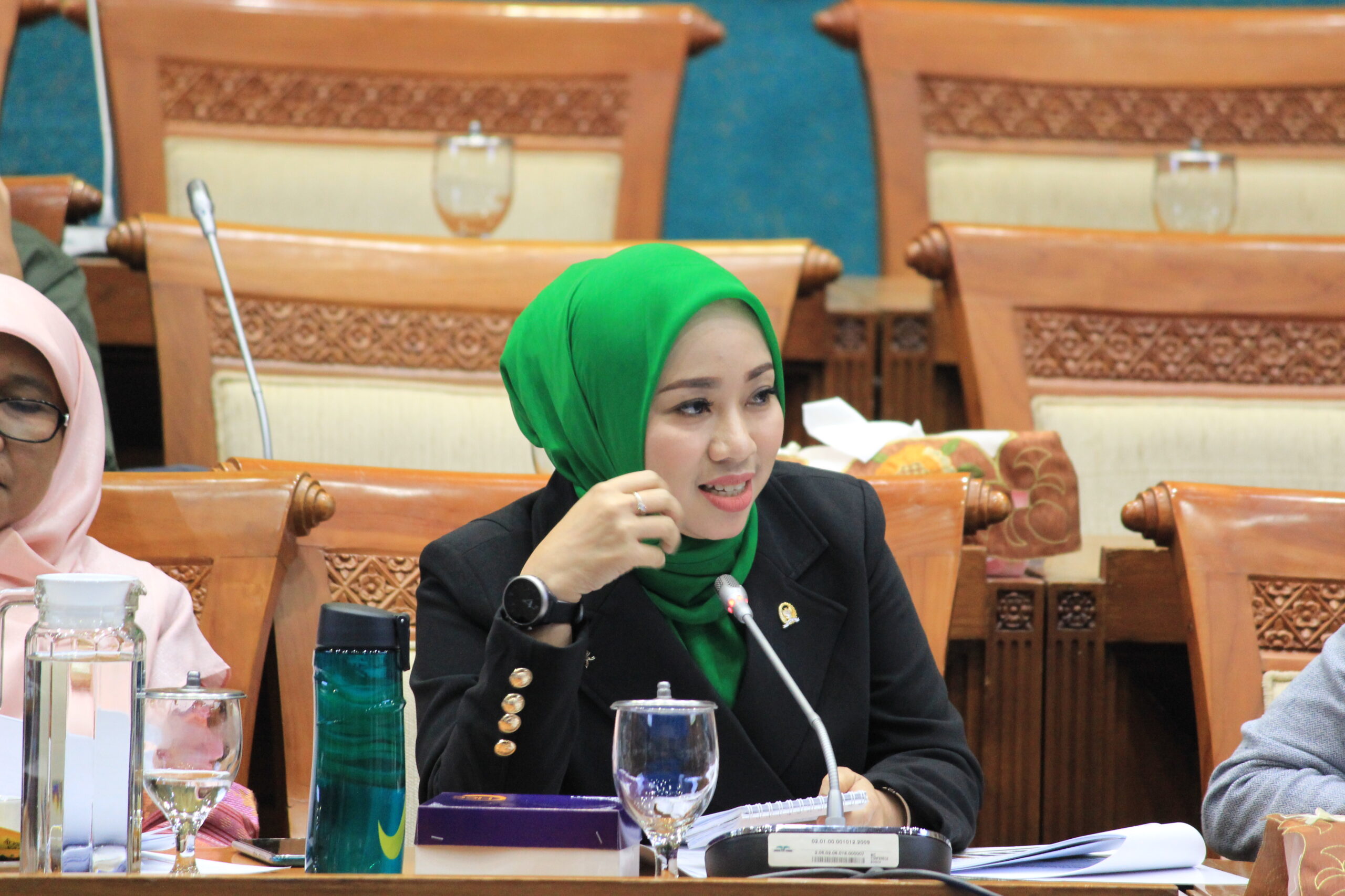 Ratna Juwita Dorong Menteri ESDM Percepat Penggunaan EBT