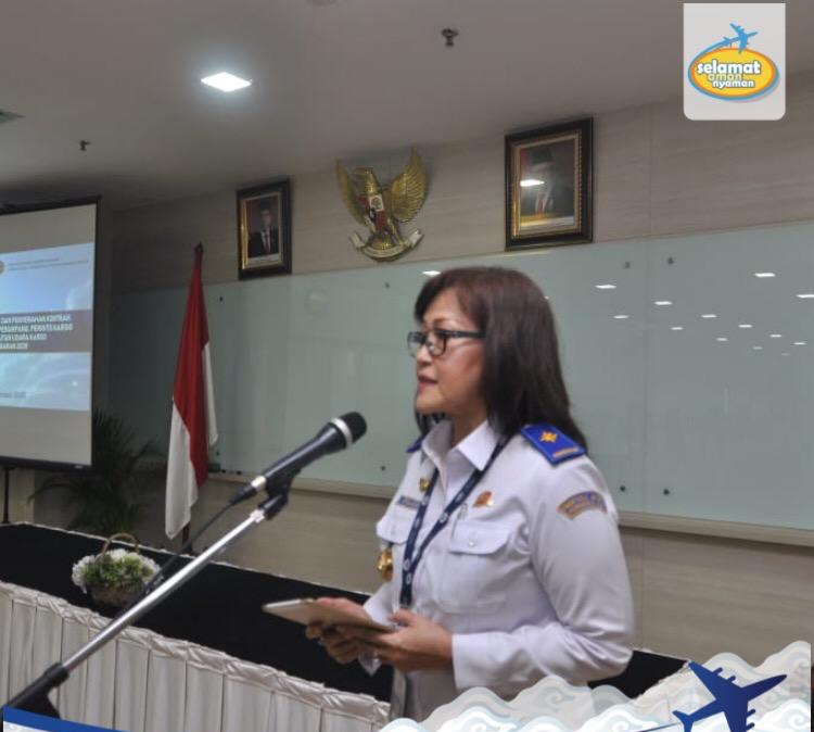 Salah Satunya Kuala Pembuang, Ini 14 Daftar Bandara Udara Perintis Baru