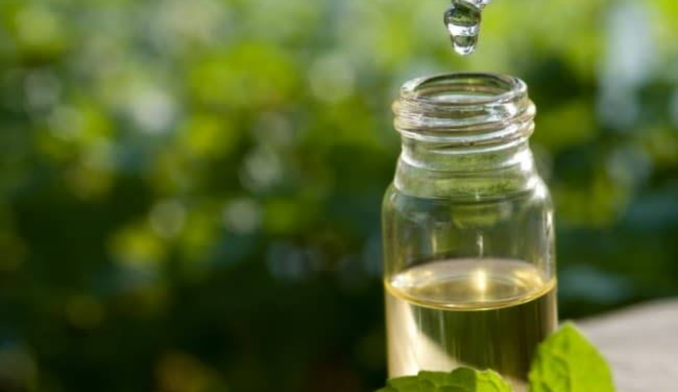 Lima Manfaat Tea Tree Oil untuk Kesehatan Tubuh