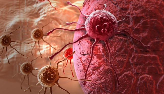 PKB Naik Kelas jadi Partai Gerakan