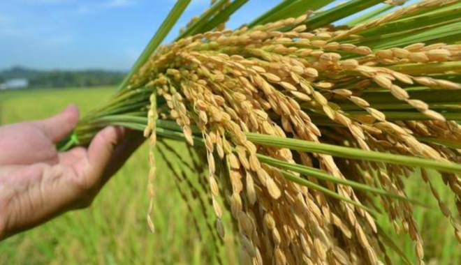 Masyarakat Demo Kejari Pamekasan, Tuntut Kejelasan Tiga Dugaan Kasus Korupsi