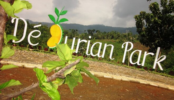 Perang AS-Iran Mengubah Arus Lanskap Dunia, Posisi Indonesia Di Bawah Kepemimpinan Prabowo-Gibran?