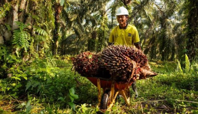 Warga Probolinggo Resah, Pocong Bersajam Berkeliaran di Area Pemakaman