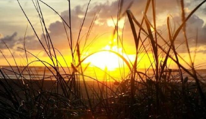 PKB Naik Kelas jadi Partai Gerakan