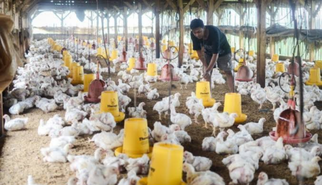 Perang AS-Iran Mengubah Arus Lanskap Dunia, Posisi Indonesia Di Bawah Kepemimpinan Prabowo-Gibran?