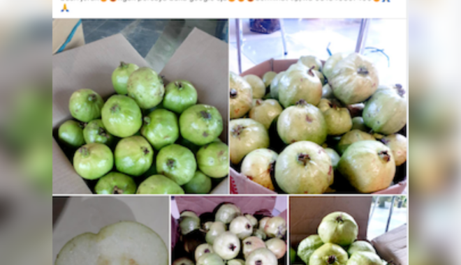 PKB Naik Kelas jadi Partai Gerakan