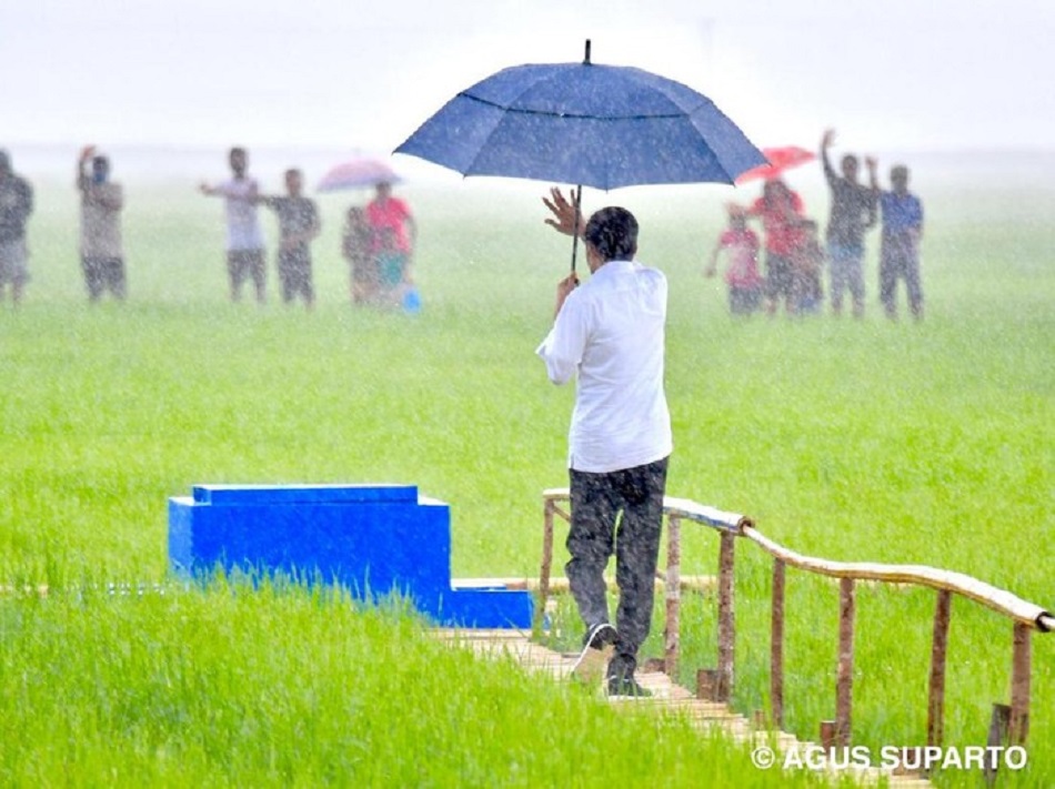 Presiden Jokowi tinjau food estate di NTT. (Foto: Agus Suparto/Pool)