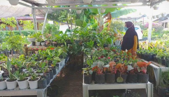 KH Yusuf Chudlori Soroti Pentingnya Regulasi dan Solusi Kolaboratif Pasca Kasus Day Care di Yogyakarta