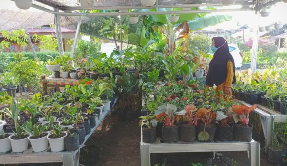 Pengusaha Tanaman Hias Didorong Tembus Pasar Global