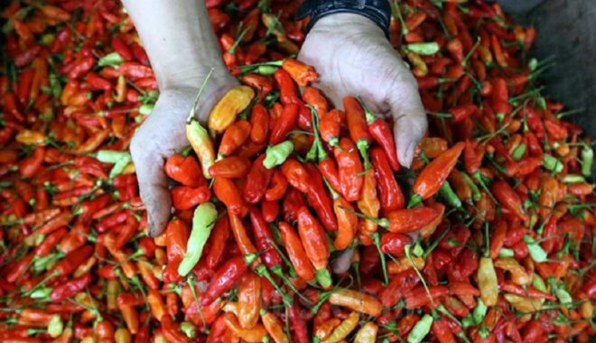 PKB Naik Kelas jadi Partai Gerakan