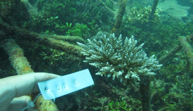 Jadi Tersangka Kasus Penganiayaan, Kades dan Perangkat Desa di Probolinggo Tak Ditahan Karena 'Kooperatif'