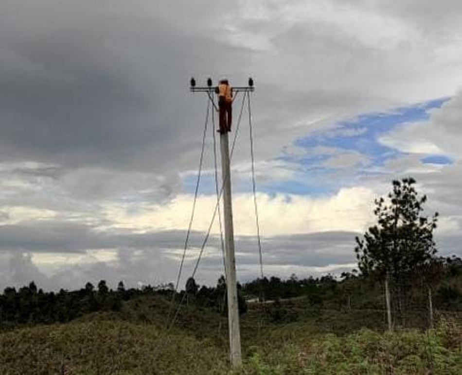Pemasangan tiang dan kabel listrik (Foto: PLN/Serikat News)