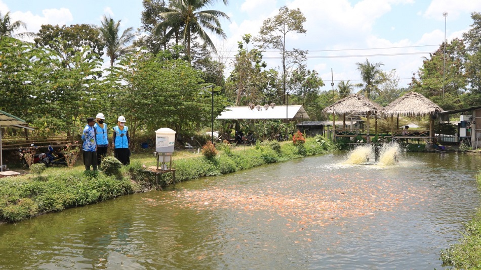 Program PLN Electrifying Agriculture berhasil menjadi penggerak sukses petani budidaya ikan dan wirausahawan modern berbasis pemanfatan listrik di Kalasan, kabupaten Sleman, Yogyakarta. (Foto: PLN/Serikat News)