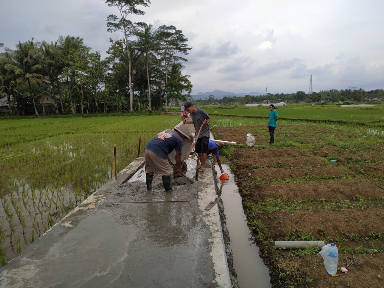 Warga Gotong Royong Perbaiki Jalan Akses Pertanian