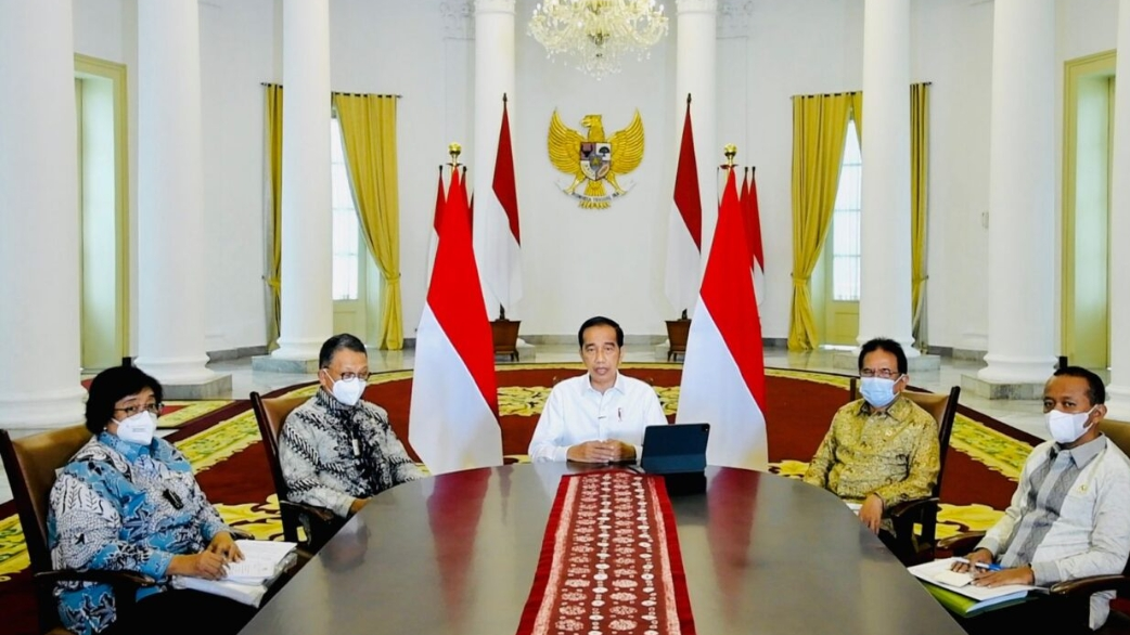 Pemerintah Cabut Ribuan Izin Usaha Tambang, Kehutanan, dan HGU Perkebunan