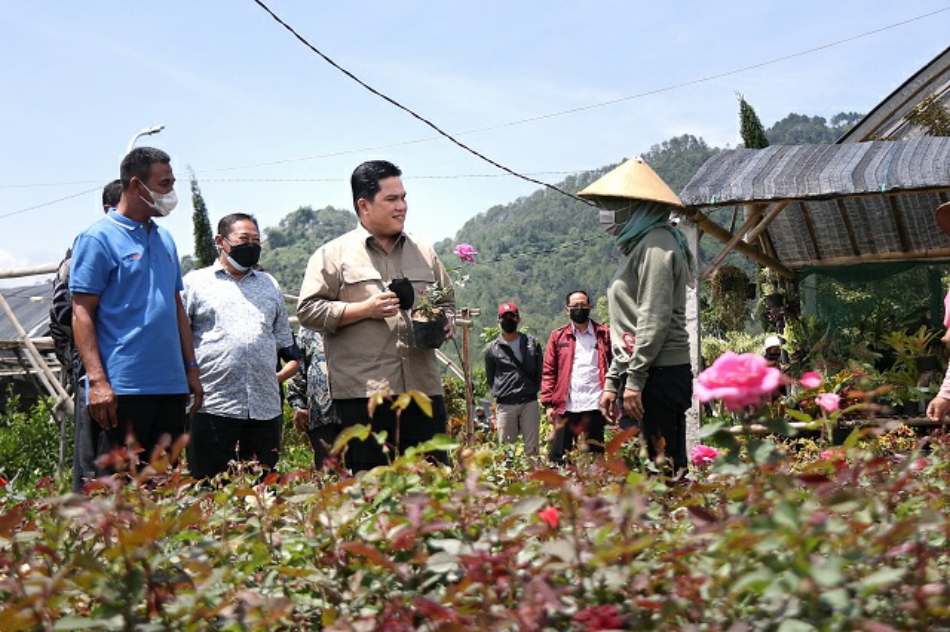 Tanaman Hias Bisa Rambah Pasar Global