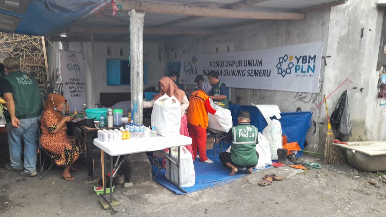 Dok, PLN