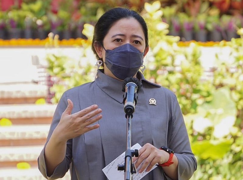 Ketua DPR RI, Puan Maharani. (Foto: Istimewa)