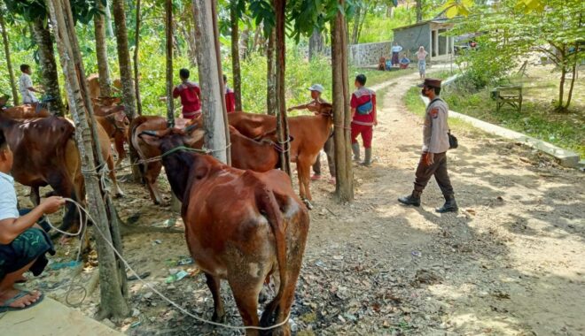 Perang AS-Iran Mengubah Arus Lanskap Dunia, Posisi Indonesia Di Bawah Kepemimpinan Prabowo-Gibran?