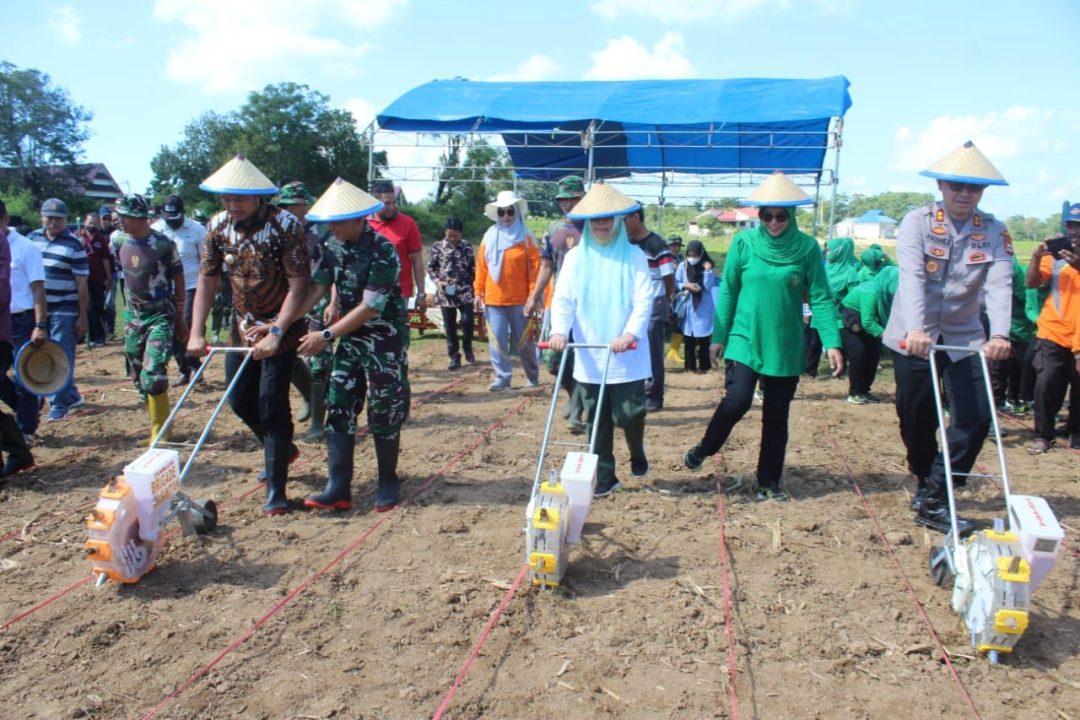 Tanam jagung, Kodim 1424/Sinjai dukung ketahanan pangan. (Foto: Dispenad)