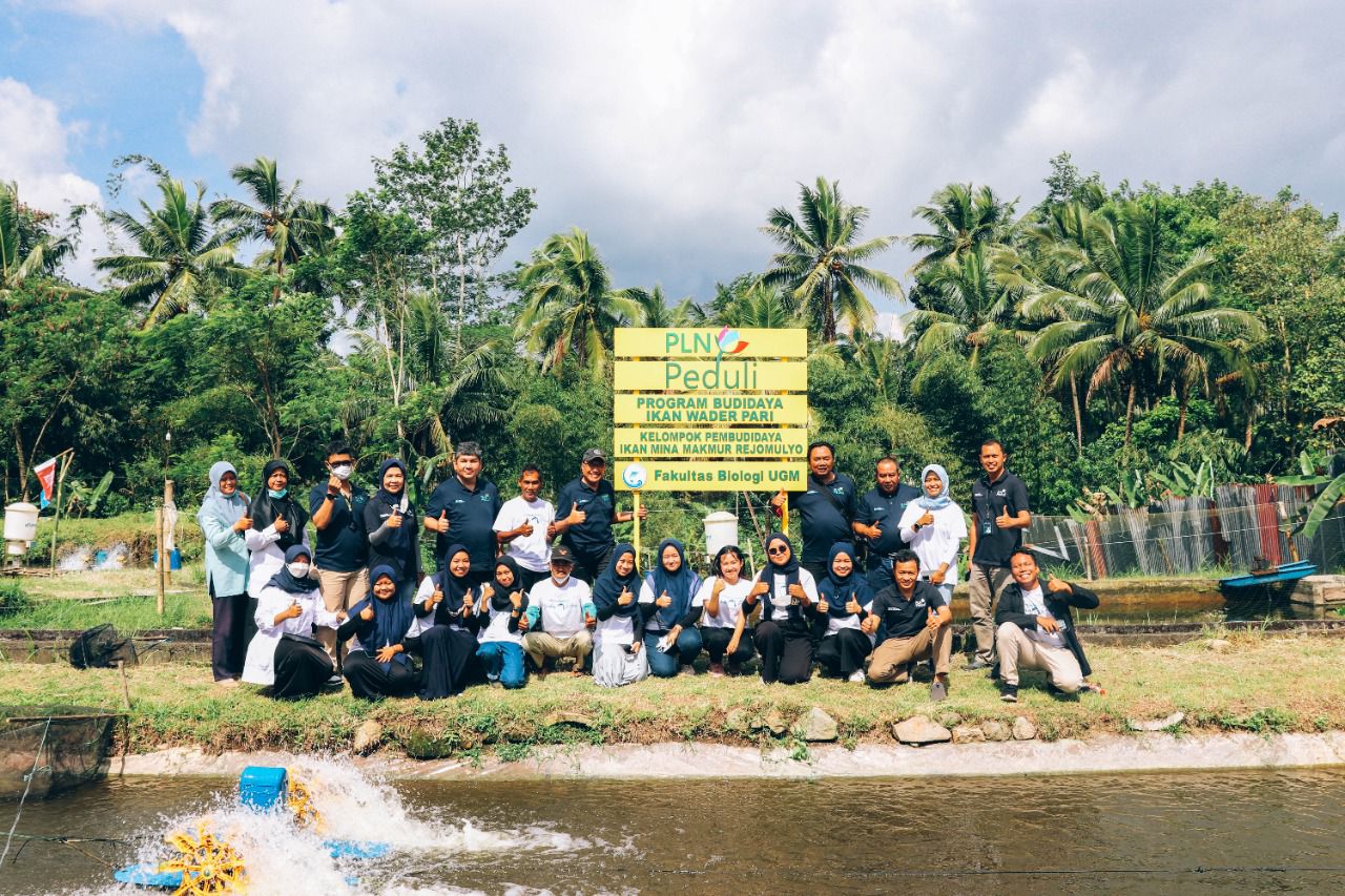 PLN turut serta menggerakkan ekonomi di wilayah Yogyakarta melalui konservasi ikan wader pari. (Foto: PLN)