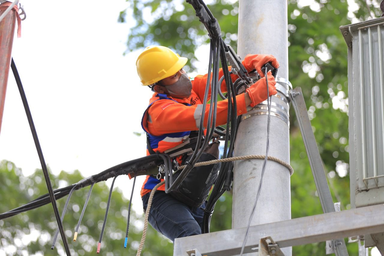 Dok. PLN