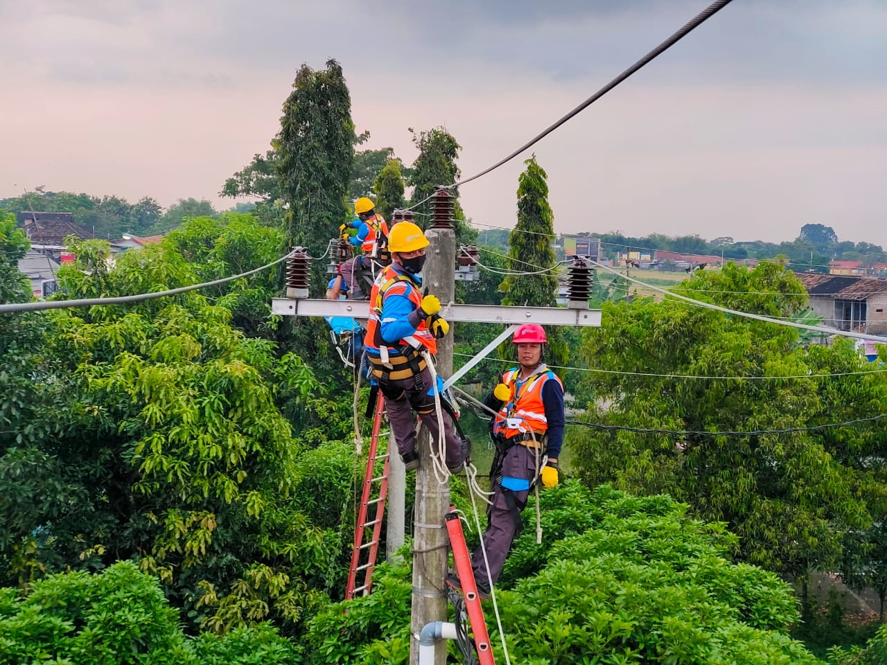 Dok. PLN
