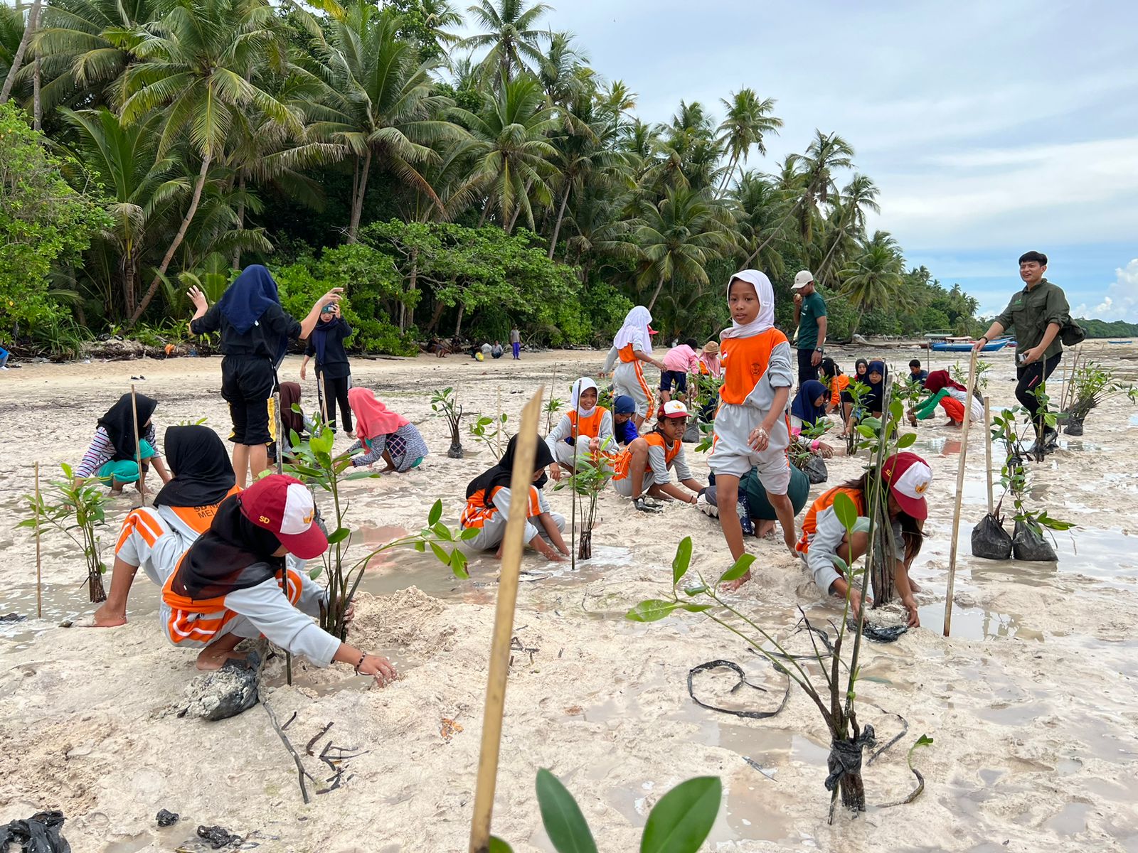 Sebanyak 1.371 relawan dari Insan PLN di seluruh unit kerja di Indonesia yang ikut serta dalam gerakan menanam pohon di Hari Menanam Pohon Indonesia (HPMI) 2022. (Foto: PLN) 