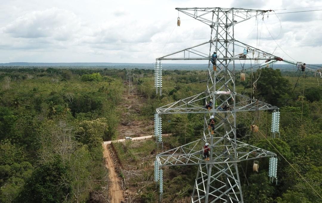 Dok, PLN