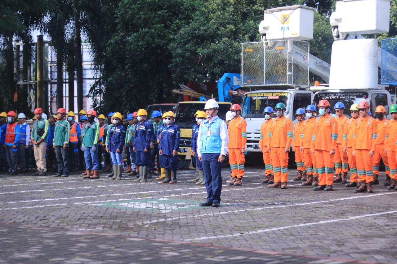Dok, PLN