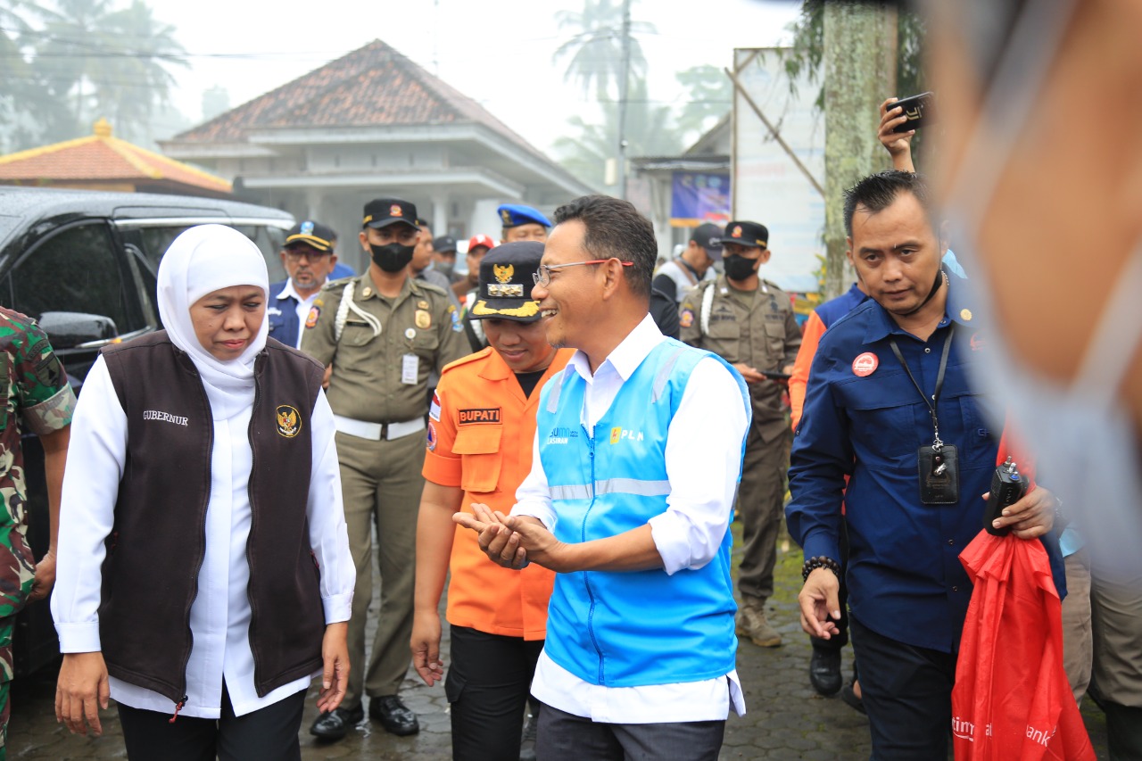 Dok, PLN