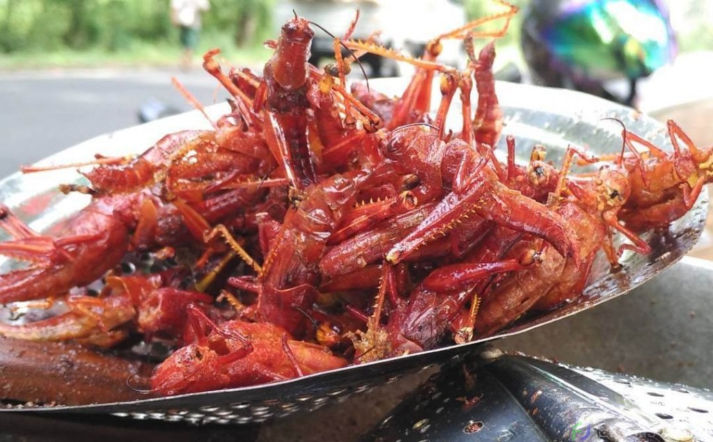 Walang goreng khas Gunung Kidul. (Foto: Eksotisjogja)