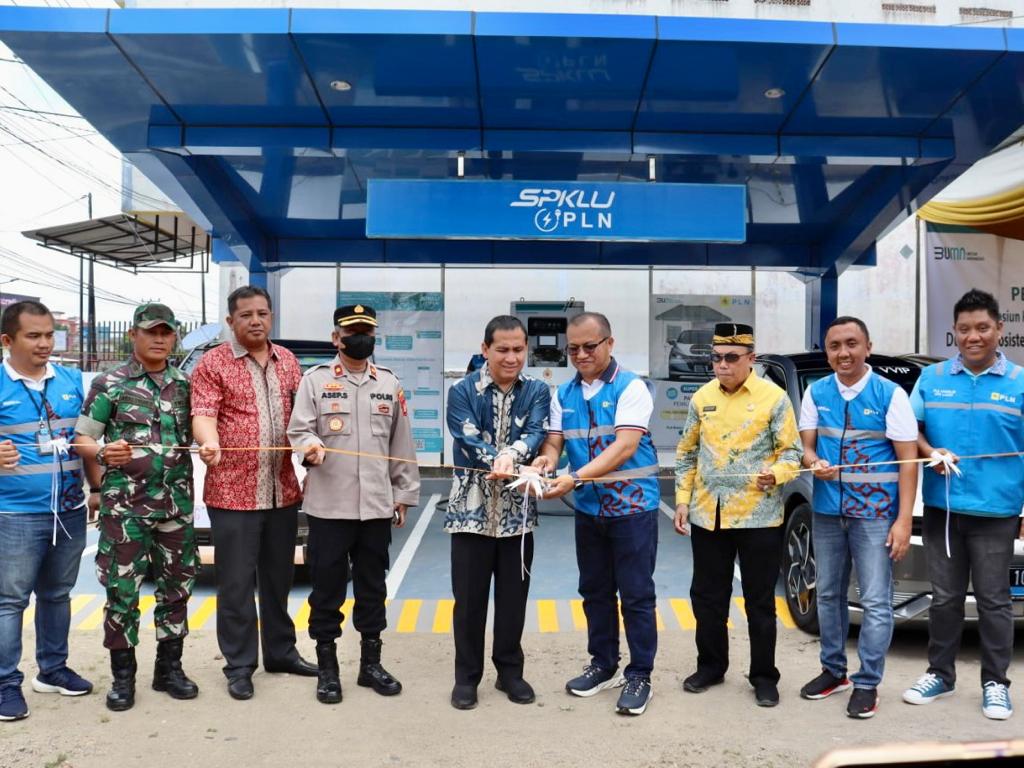 Dok, PLN