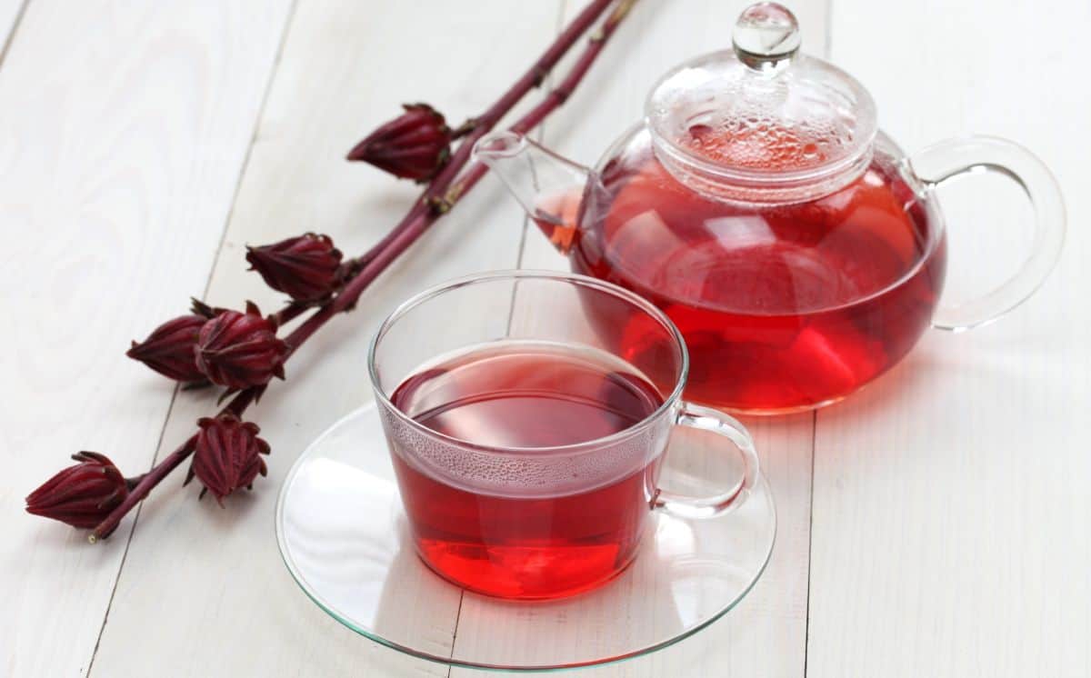 Teh bunga rosella. (Foto: Ceklist)