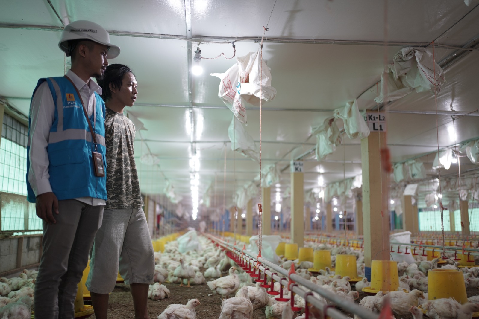 PT PLN (Persero) melalui program Electrifying Agriculture (EA) mendorong peningkatan produktivitas dan pendapatan petani Indonesia. (Dok, PLN)