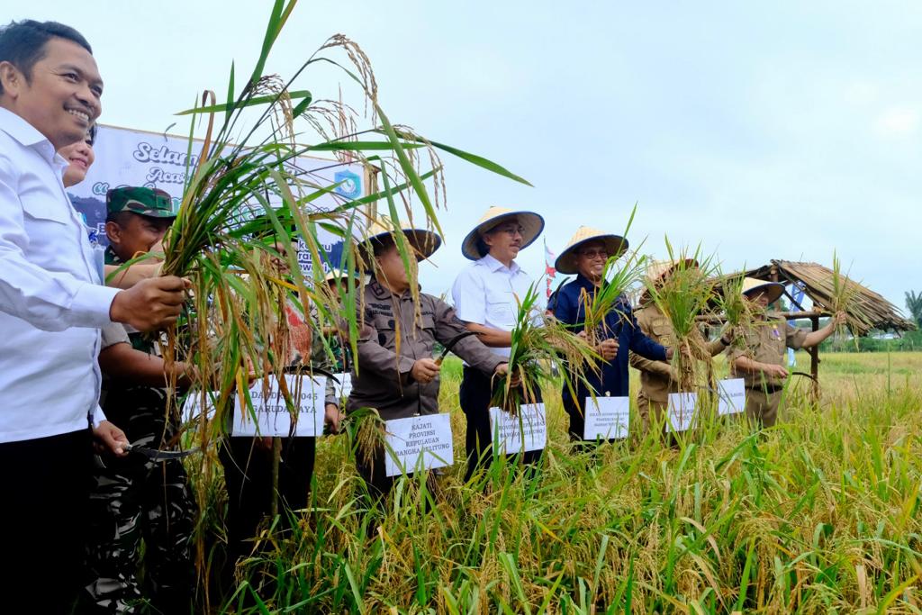 Masyarakat Desa Namang, Kabupaten Bangka Tengah tersenyum lebar karena akhirnya lahannya bisa kembali produktif dan bisa menikmati hasil panen padi. Dok, PLN.