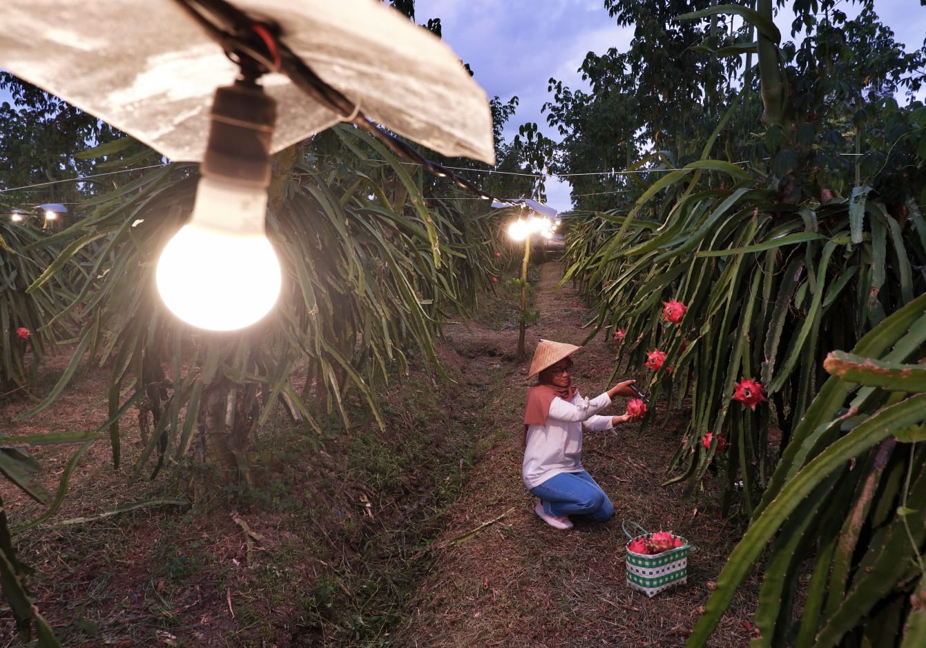 PT PLN (Persero) berhasil mencatat penjualan terbaik pada tahun 2022 sebesar 270,82 terawatt hour (TWh) dengan total 85,28 juta pelanggan.Dok, PLN.