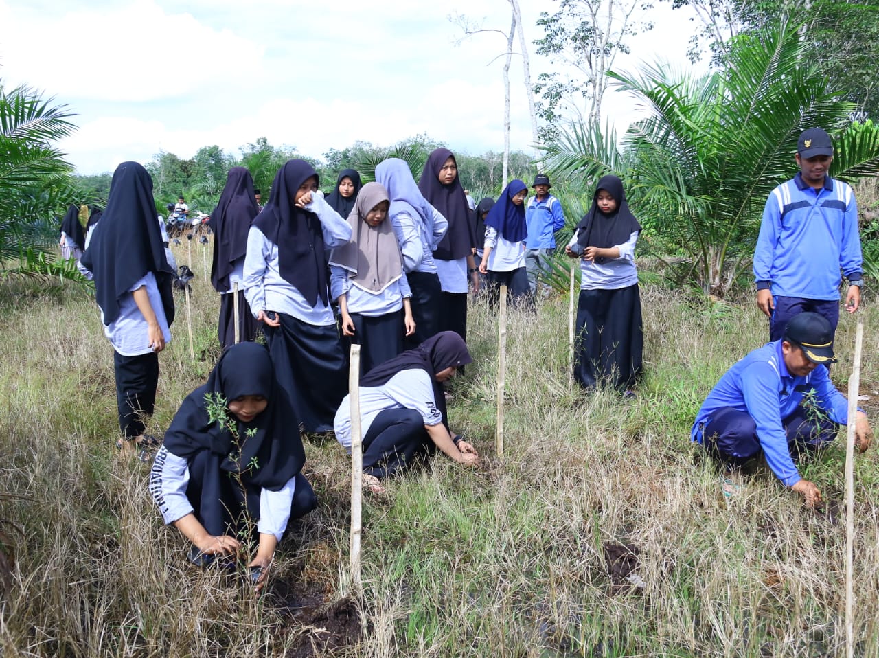 PT PLN (Persero) melalui program Tanggung Jawab Sosial dan Lingkungan (TJSL) bersama Balai Penerapan Standar Instrumen Lingkungan Hidup dan Kehutanan (BPSILHK) Kuok. (Foto: PLN)