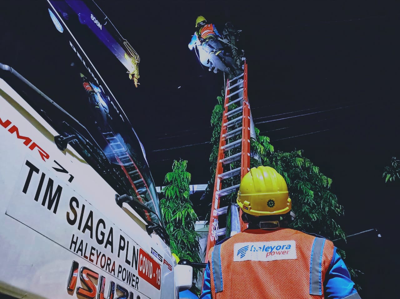 Dok. PLN