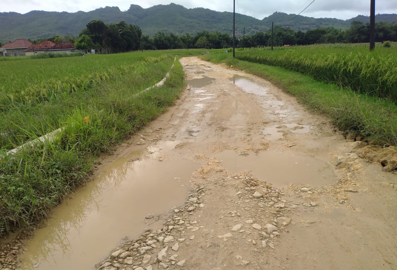 Kondisi jalan raya yang menghubungkan Desa Pordapor dengan Desa Tambukoh, Kecamatan Guluk-Guluk, Kabupaten Sumenep, rusak parah dan tidak layak dilewati kendaraan bermotor. (Foto: M. Faizi/Serikat News) 