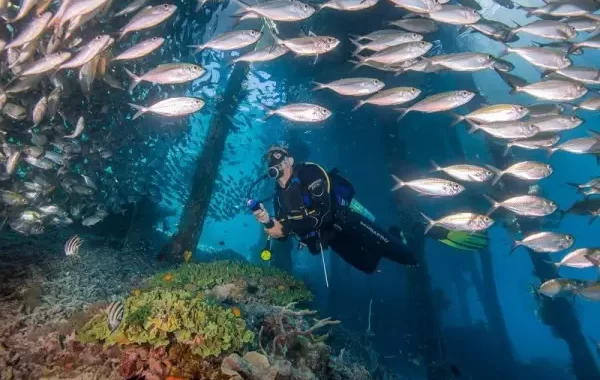 PKB Naik Kelas jadi Partai Gerakan