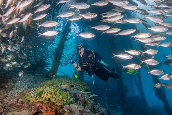Spot diving Raja Ampat. (Foto: Istimewa) 