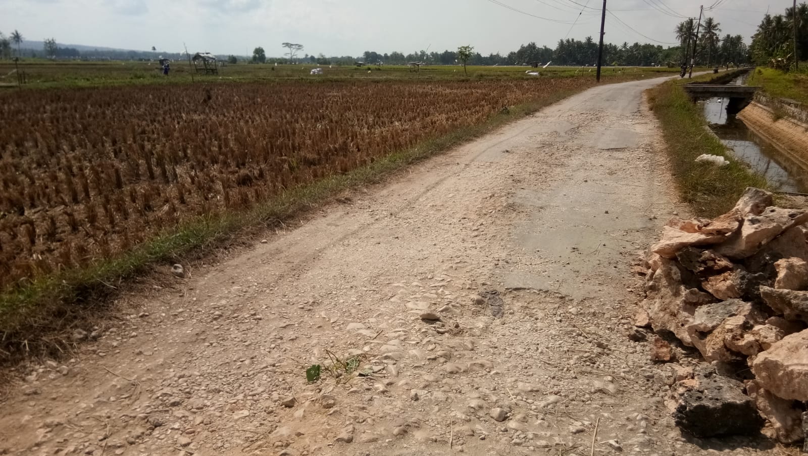 Warga keluhkan jalan rusak di Lenteng Timur. (Foto: Serikat News) 
