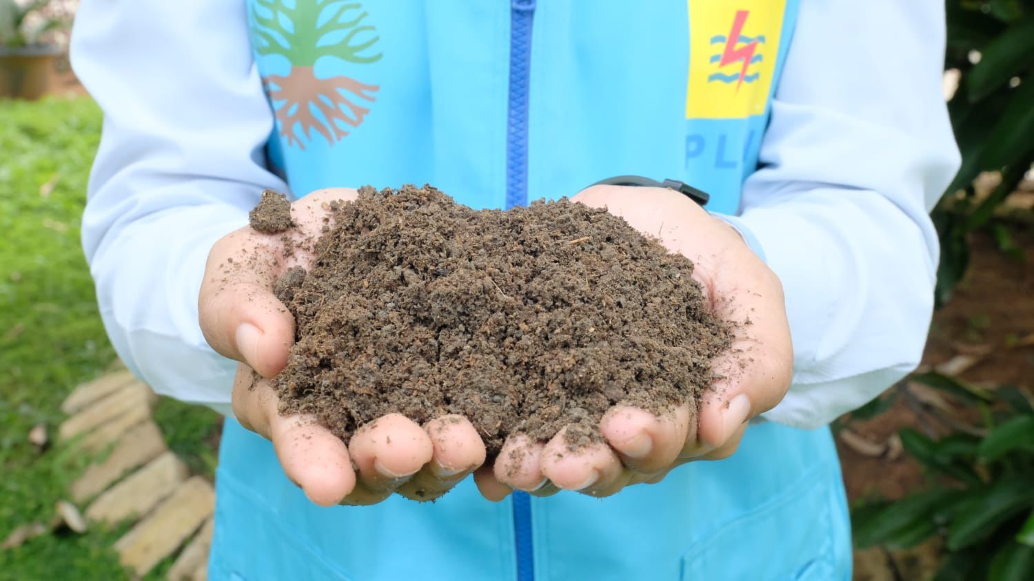 Pemanfaatan FABA PLTU Ombilin sebagai pupuk silika yang dimanfaatkan masyarakat untuk pertaniannya. (Foto/PLN)