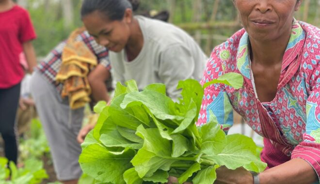 Perang AS-Iran Mengubah Arus Lanskap Dunia, Posisi Indonesia Di Bawah Kepemimpinan Prabowo-Gibran?